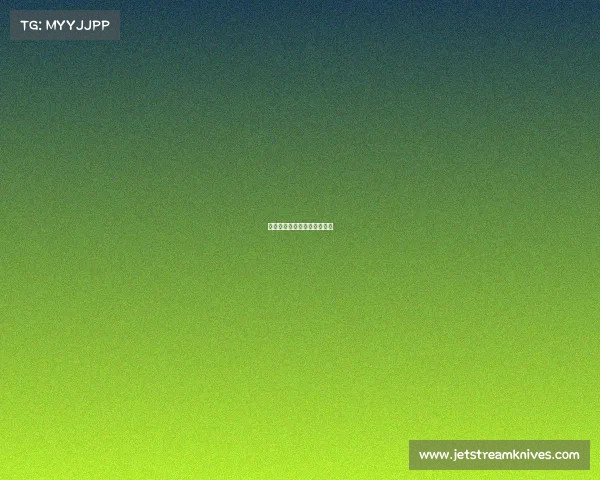 中考作文可以写作文书上的吗