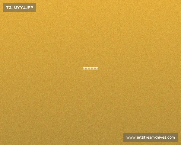 二次元电竞是什么意思